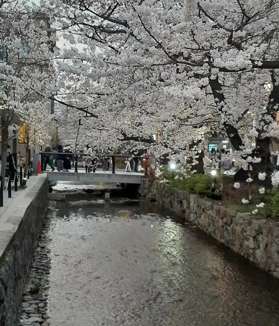 Izutsu Hotel Kyoto Kawaramachi Sanjo
